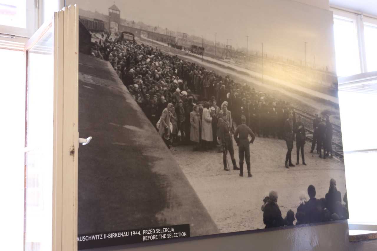 包含波兰对抗丹麦，塔林等你来观赏的词条