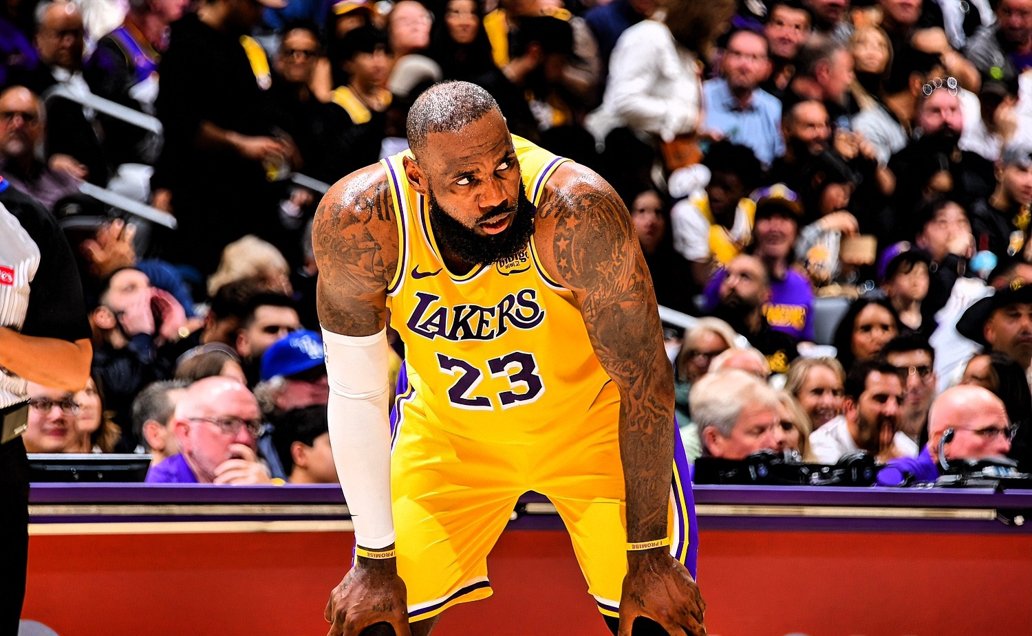 关于主场劲战，湖人险胜奇才，詹姆斯发威的信息