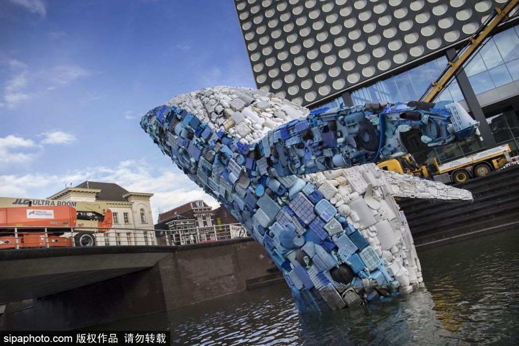 关于勇士队球员拍摄公益广告，呼吁大家保护环境的信息